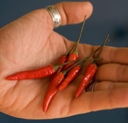 chili peppers nutritional information
